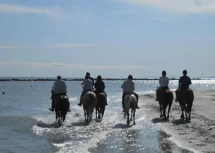Ca' Marina Savio di Ravenna