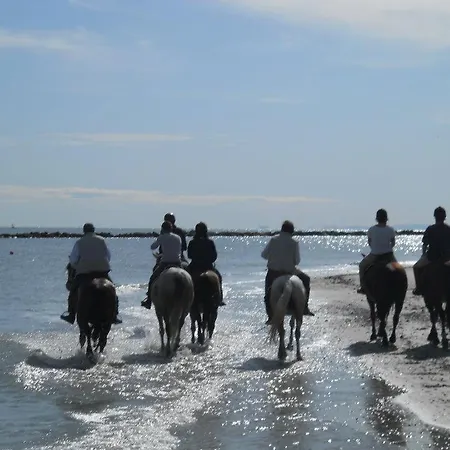 Ca' Marina Savio di Ravenna